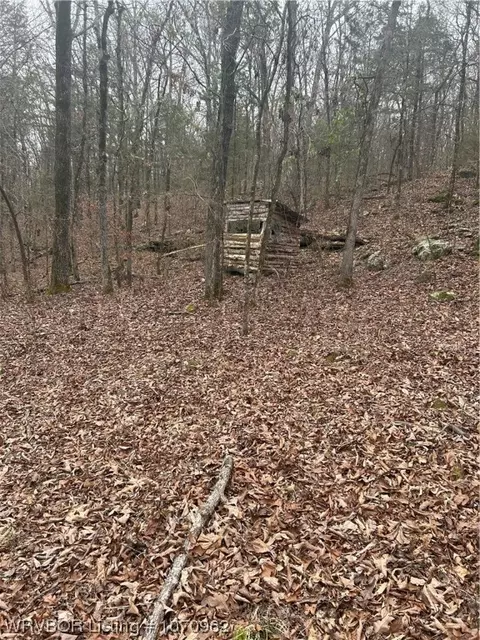 Tbd N Hwy 59, Cedarville, AR 72932
