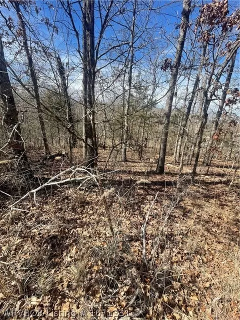 452412 E 953, Vian, OK 74962