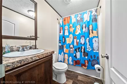 429 Kathy Way, Hackett, AR 72937 photo 37