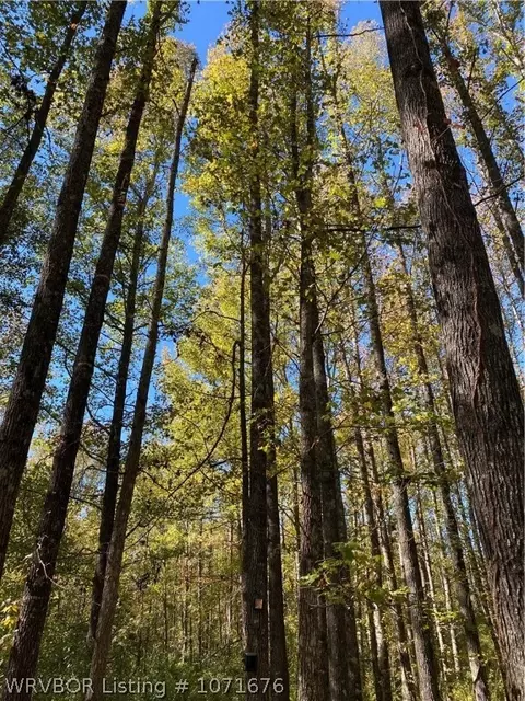 180 Mud Cat, Heber Springs, AR 72543