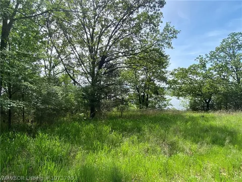 Tbd Eagle Cove, Lamar, AR 72846 photo 5