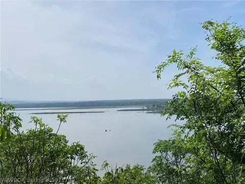 Tbd Eagle Cove, Lamar, AR 72846 photo 6