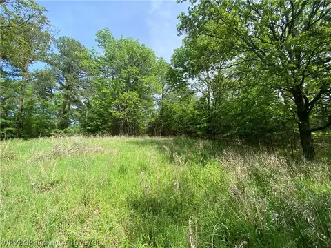 Tbd Eagle Cove, Lamar, AR 72846 photo 4