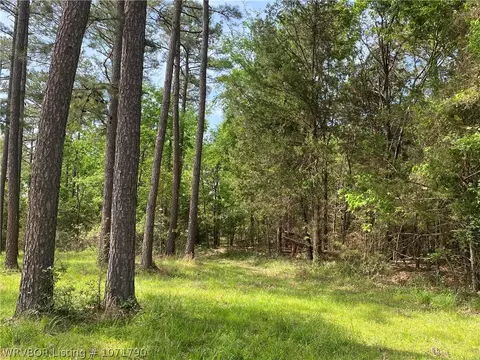 Tbd Eagle Cove, Lamar, AR 72846 photo 11