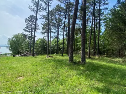 Tbd Eagle Cove, Lamar, AR 72846 photo 10