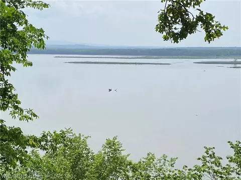 Tbd Eagle Cove, Lamar, AR 72846 photo 3