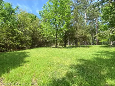 Tbd Eagle Cove, Lamar, AR 72846 photo 9