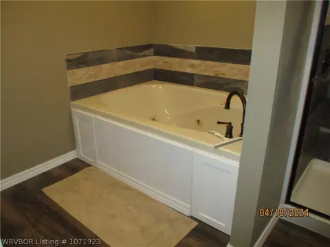 Bath - 919 Ferry Rd, Ozark, AR 72949 photo 7 of 8