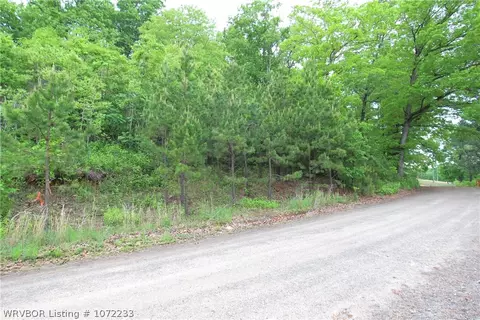 Tbd Grapevine Road, Chester, AR 72934