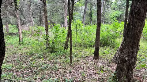 Tbd Bowers Loop, Hackett, AR 72937 photo 6
