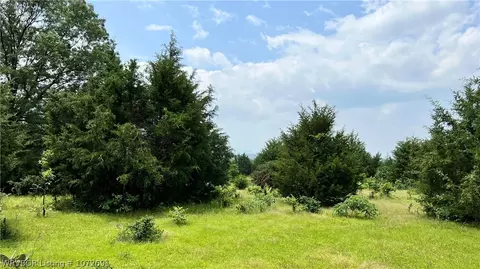 Tbd Bowers Loop, Hackett, AR 72937 photo 15