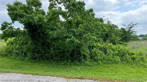 Tbd Bowers Loop, Hackett, AR 72937 photo 5