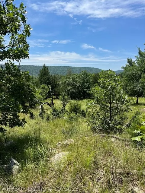 tbd Burris Valley Rd, Pittsburg, OK 74560
