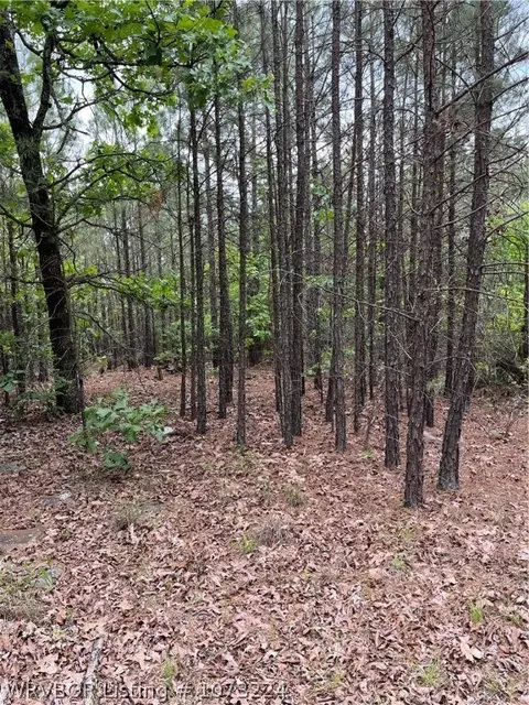 tbd N Rural Pushmataha, Moyers, OK 74557