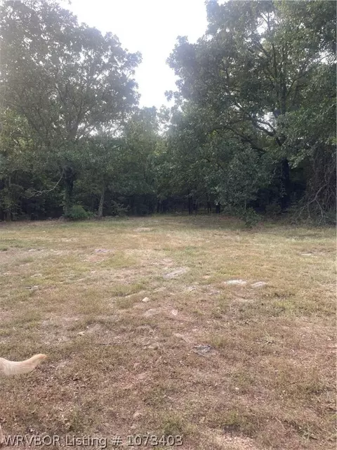 901 Idlewood Ln, Hackett, AR 72937 photo 7