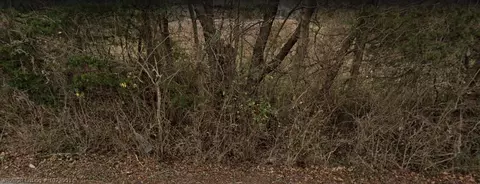 2015 Vale Ave, Fayetteville, AR 72701