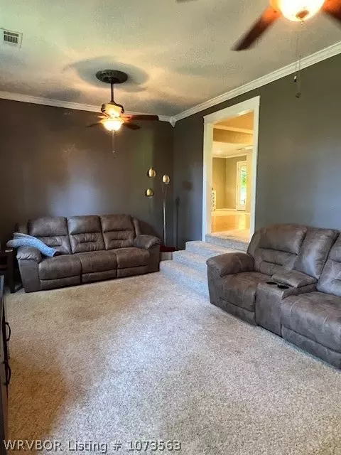 151 Lakeview Dr, Paris, AR 72855 photo 4