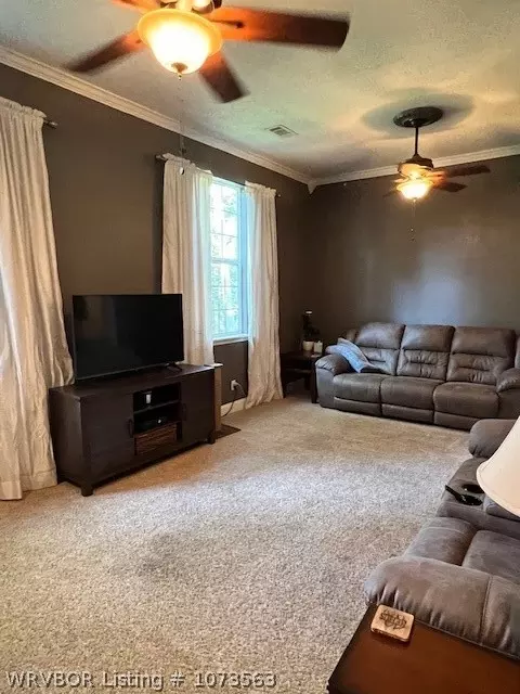 151 Lakeview Dr, Paris, AR 72855 photo 3
