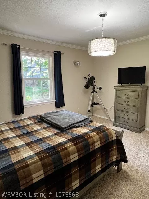151 Lakeview Dr, Paris, AR 72855 photo 19
