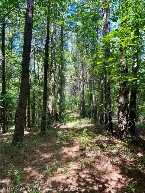 2985 River Fish Rd, Watson, OK 74963 photo 35