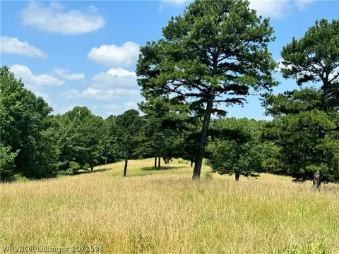 2985 River Fish Rd, Watson, OK 74963 photo 38