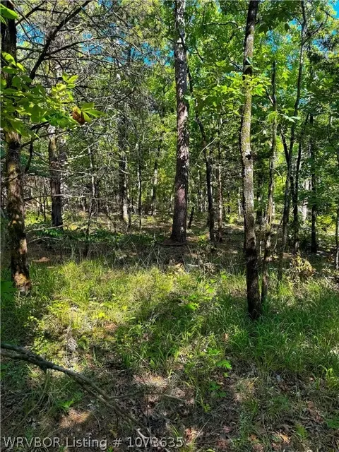 Tbd Blackfork, Mena, AR 71953 photo 38