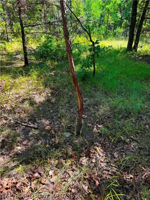 Tbd Blackfork, Mena, AR 71953 photo 17
