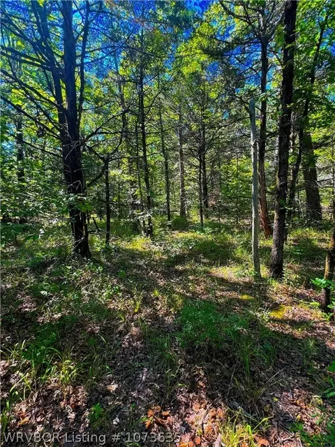 Tbd Blackfork, Mena, AR 71953 photo 29