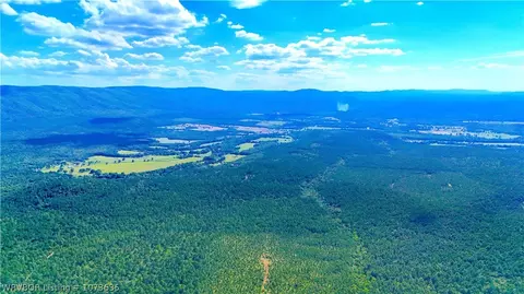 Tbd Blackfork, Mena, AR 71953 photo 6