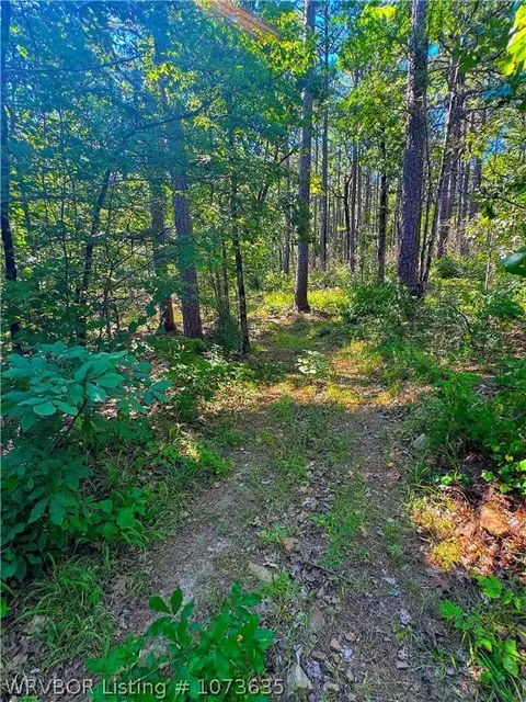 Tbd Blackfork, Mena, AR 71953 photo 33