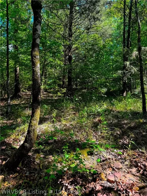 Tbd Blackfork, Mena, AR 71953 photo 28