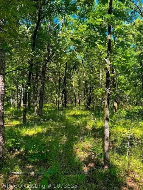 Tbd Blackfork, Mena, AR 71953 photo 39