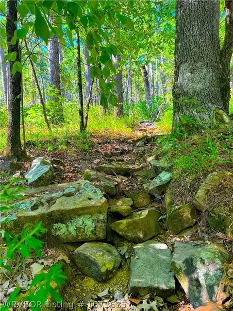 Tbd Blackfork, Mena, AR 71953 photo 36