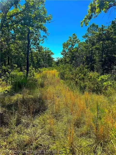 Tbd Blackfork, Mena, AR 71953 photo 13