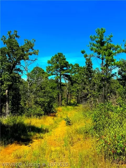 Tbd Blackfork, Mena, AR 71953 photo 10