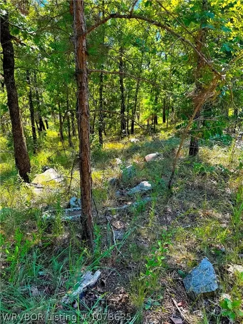 Tbd Blackfork, Mena, AR 71953 photo 15