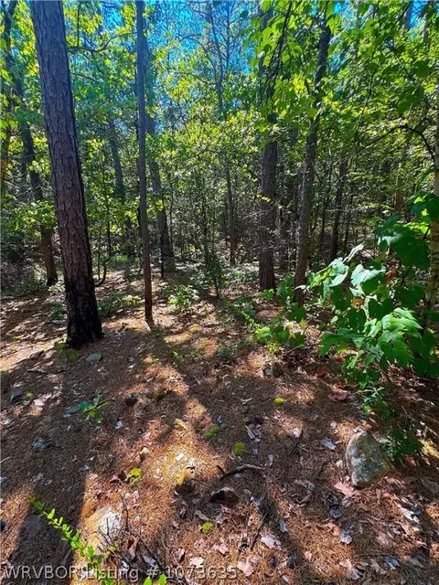 Tbd Blackfork, Mena, AR 71953 photo 32