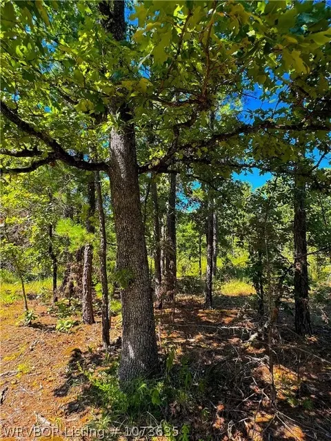 Tbd Blackfork, Mena, AR 71953 photo 20