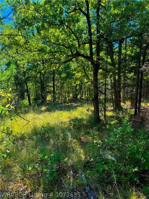 Tbd Blackfork, Mena, AR 71953 photo 16