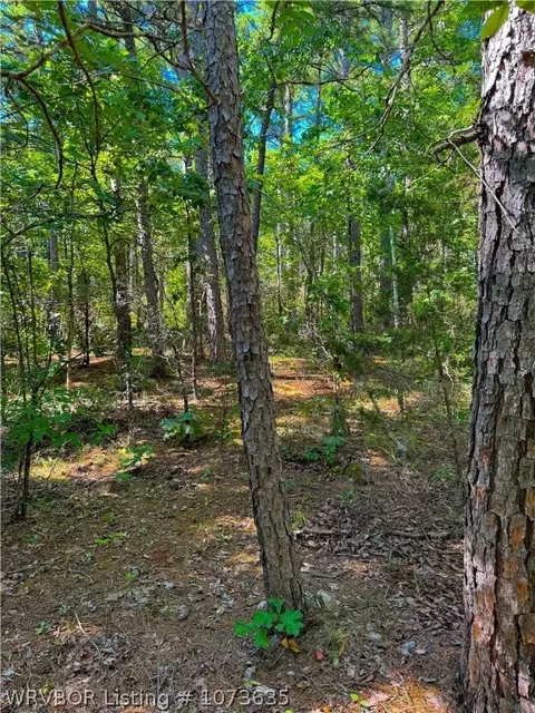 Tbd Blackfork, Mena, AR 71953 photo 22