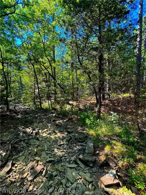 Tbd Blackfork, Mena, AR 71953 photo 30