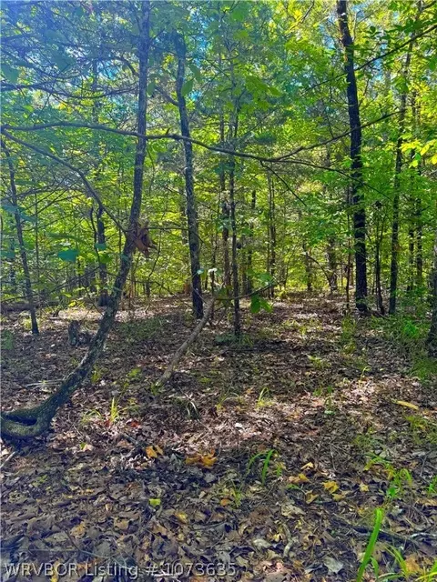 Tbd Blackfork, Mena, AR 71953 photo 26