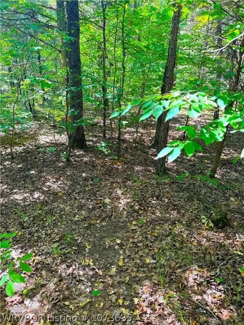 Tbd Blackfork, Mena, AR 71953 photo 27