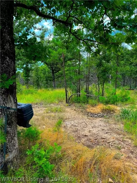 Tbd Blackfork, Mena, AR 71953 photo 8