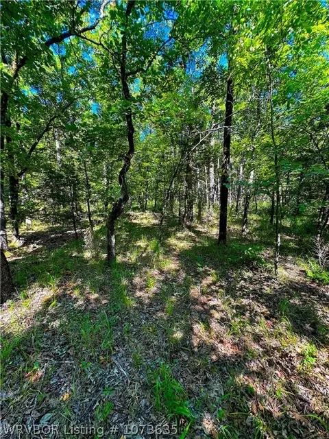 Tbd Blackfork, Mena, AR 71953 photo 42