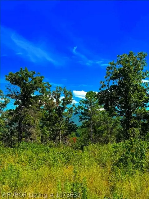 Tbd Blackfork, Mena, AR 71953 photo 11