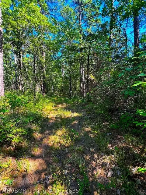 Tbd Blackfork, Mena, AR 71953 photo 34