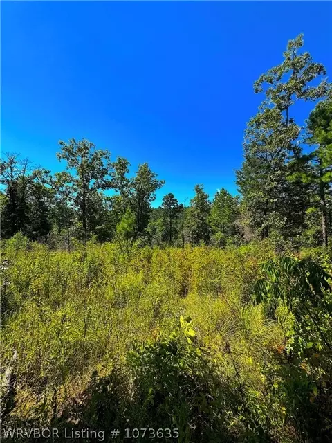 Tbd Blackfork, Mena, AR 71953 photo 19