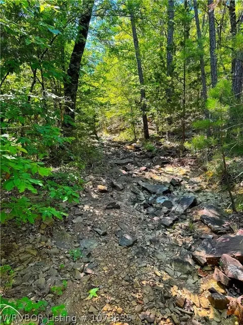 Tbd Blackfork, Mena, AR 71953 photo 23