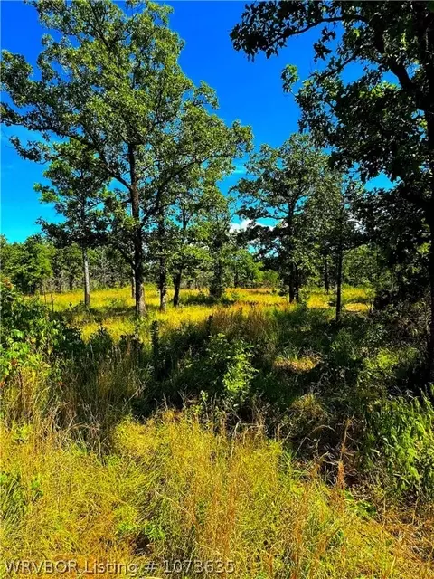 Tbd Blackfork, Mena, AR 71953 photo 12
